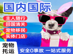 阿里普兰机场物流国际宠物托运 【国